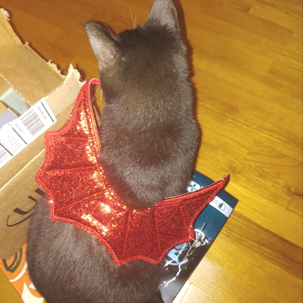 Hyde and eek Sparkly Red Cat Devil wings Halloween Costume